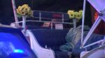 Carriage horse died inside Central Park shocking park goers Carriage horse died inside Central Park shocking park goers