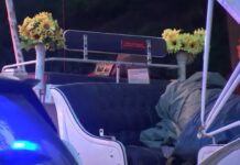 Carriage horse died inside Central Park shocking park goers