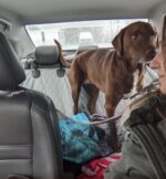 Man’s lost dog found after 4 years in emotional reunion and all because of a microchip