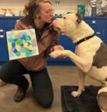 Animal advocates furious over playful pup labeled ‘threat’ slated for euthanasia