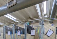 Please help: Cincinnati Animal CARE posted code red after taking in 900+ animals in last 30 days