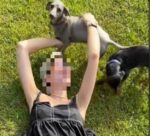 Wife who stabbed estranged husband twice for killing her 2 rescue dogs cleared of attempted murder charges