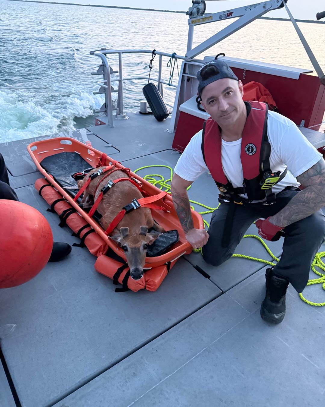 Oh deer! Cleveland firefighters rescue buck stuck in rocks behind Rock & Roll Hall of Fame