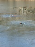 Hero police officers risked own lives to save 2 exhausted dogs from drowning in icy pond