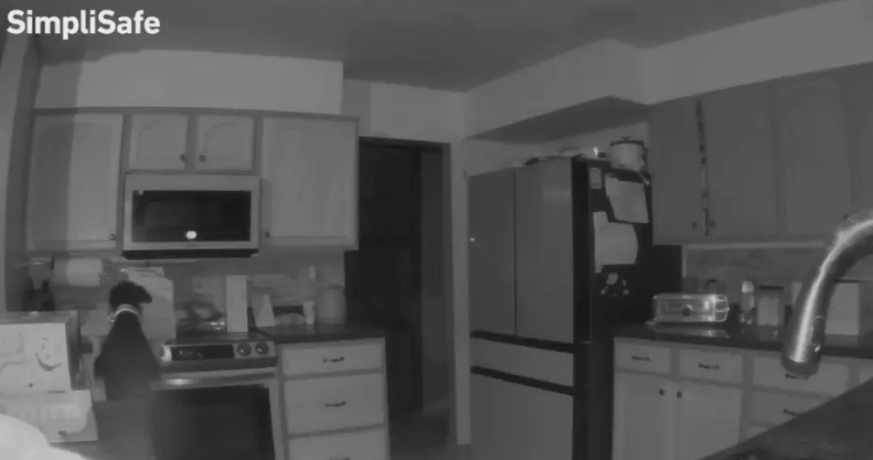 Family dog sniffing boxes left atop of stove accidentally turned on burner causing home fire