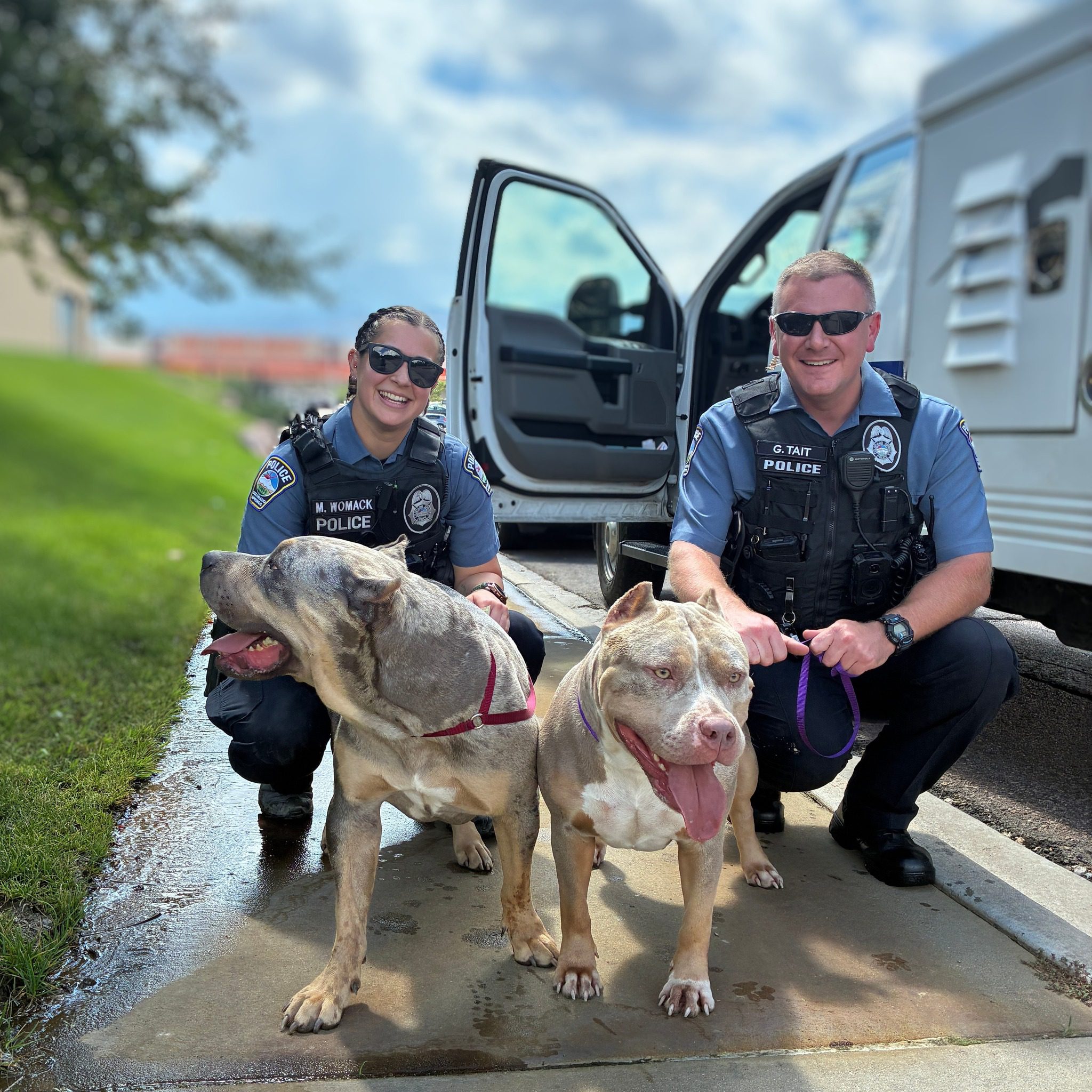 Kindest police officers rescued 2 ‘pitbulls’ running loose that turn out to be sweetest dogs Kindest police officers rescued 2 ‘pitbulls’ running loose that turn out to be sweetest dogs
