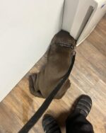 Four month old chocolate Labradoodle demonstrates heartbreaking side of rescue