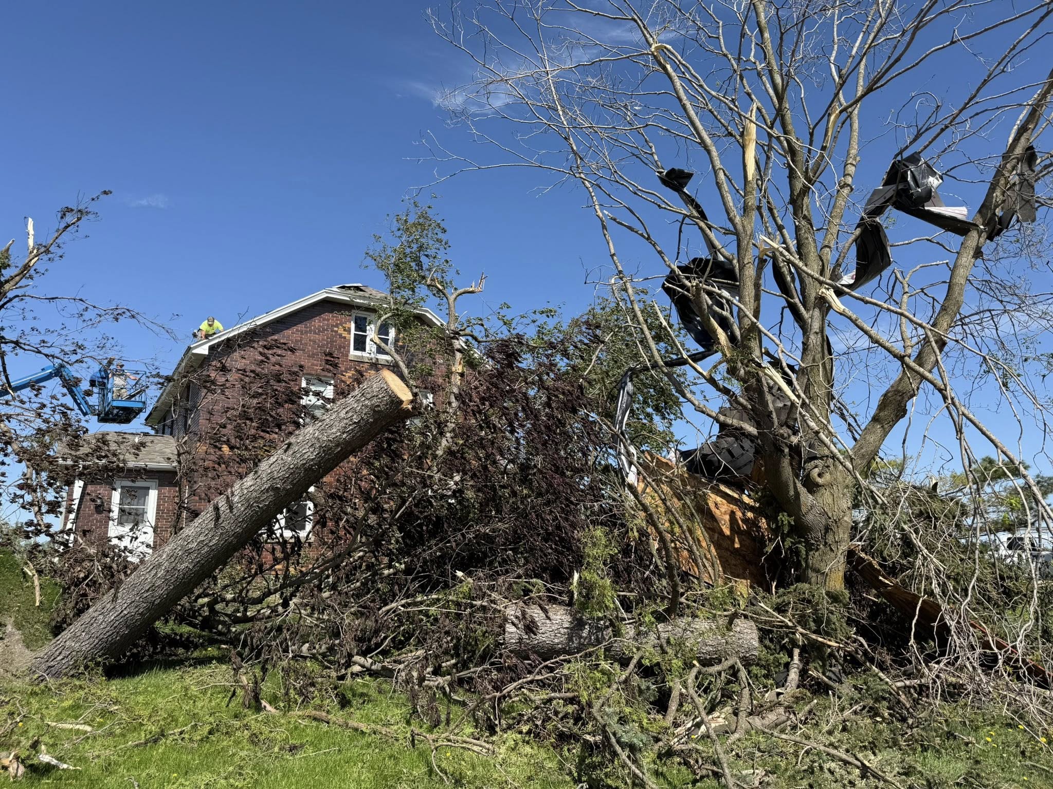 Cow survives devastating tornado in Wisconsin after 300 acre farm nearly totally destroyed