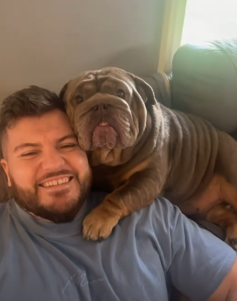 Puppy mom gushes as adorable bulldog puppy lifts his paw to wave Puppy mom gushes as adorable bulldog puppy lifts his paw to wave