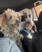 Kind hearted woman charged after rescuing abandoned and neglected dog during snow storm