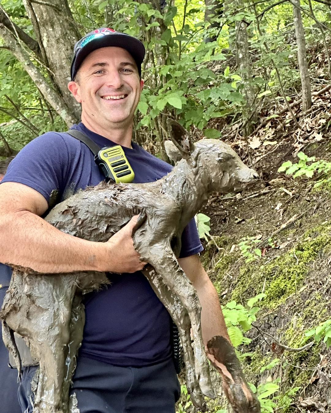 Heartwarming: Fire rescuers save a tiny exhausted fawn from mudhole