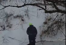 Frightened deer saved from thin ice by big-hearted hero