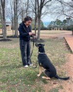 Heartwarming: Dog’s journey of love, loss and hope and now he’s home again