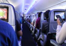 Passengers on plane complain after spotting dog’s ‘disgusting behavior’