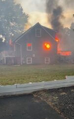 Family dog caused house fire ending in deaths of other pets Family dog caused house fire ending in deaths of other pets