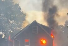 Family dog caused house fire ending in deaths of other pets