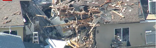 Man critically injured and multiple dogs to be rescued after San Fernando Valley exploded Man critically injured and multiple dogs to be rescued after San Fernando Valley exploded