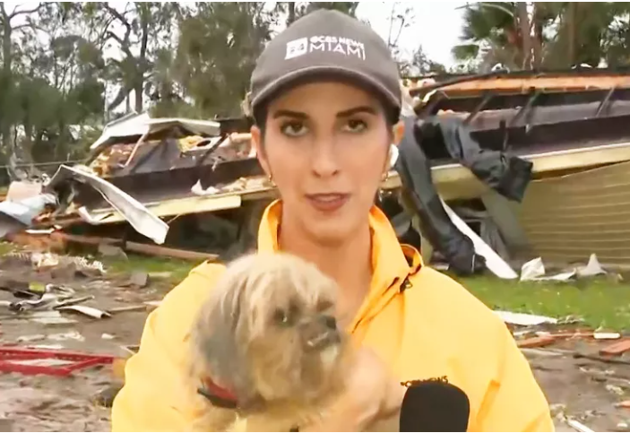 Miraculously rescued pup found in Florida retirement community destroyed by Hurricane Milton