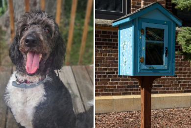 Dog treat box