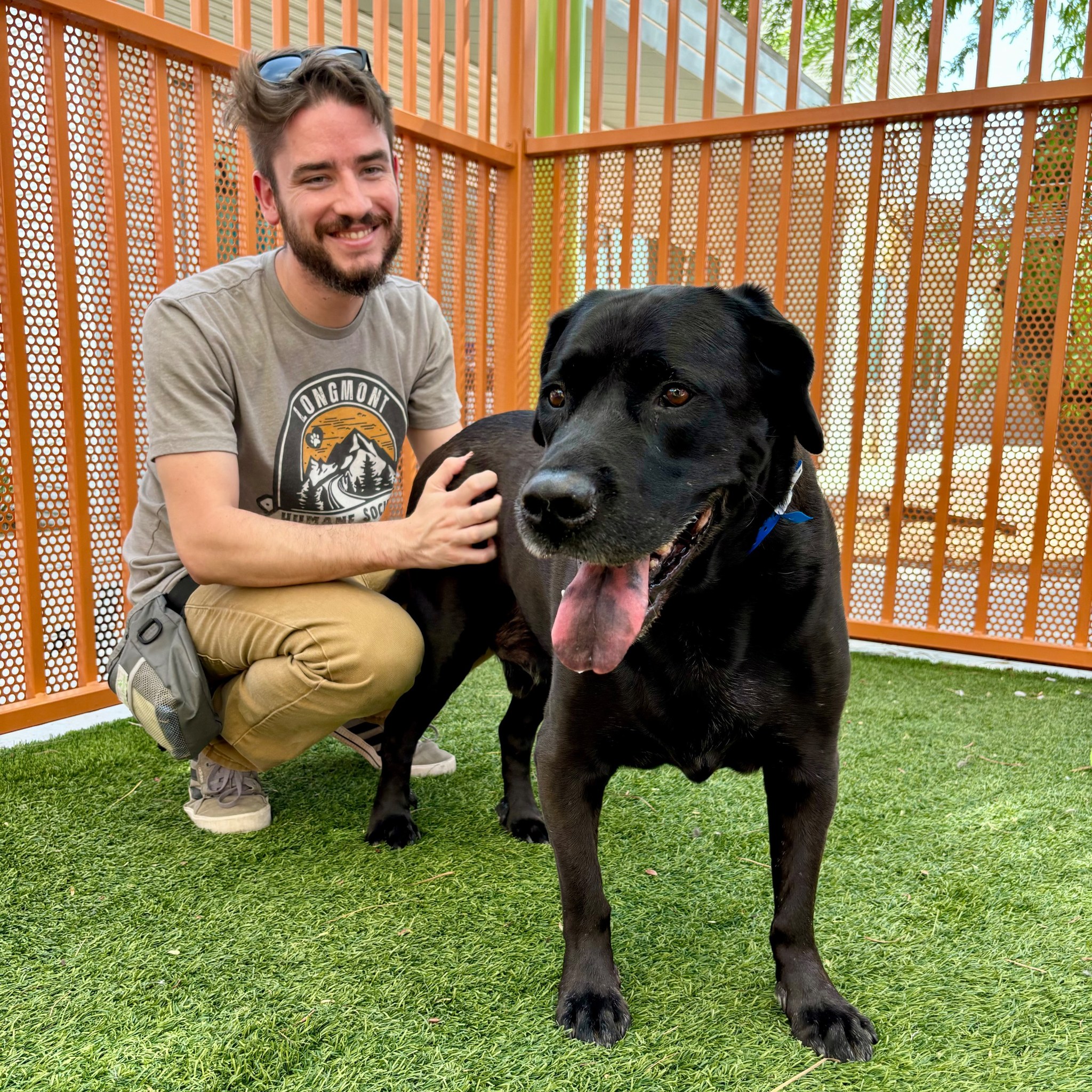 Four-year-old Labrador retriever returned to Las Vegas shelter because he was ‘boring’