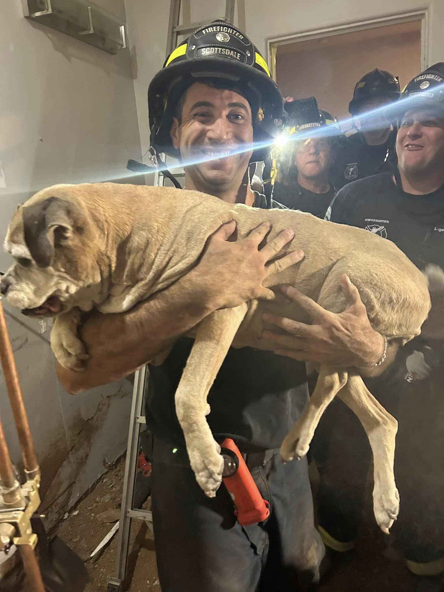 Rescue team worked for 7 hours to free bulldog Bella stuck in ventilation tube Rescue team worked for 7 hours to free bulldog Bella stuck in ventilation tube
