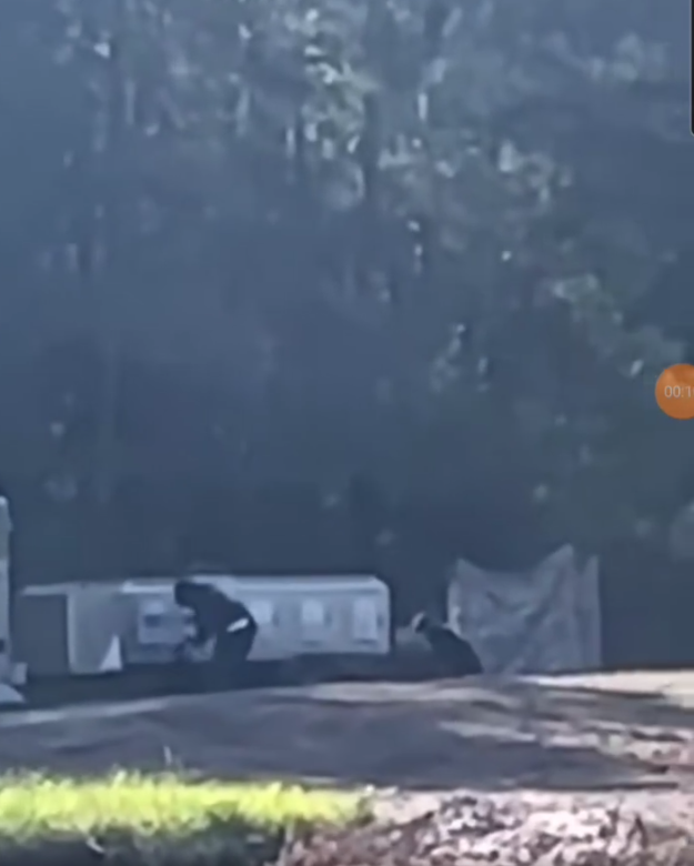 11 dogs placed in protective custody after Lenoir County kennel owner arrested on animal cruelty charges