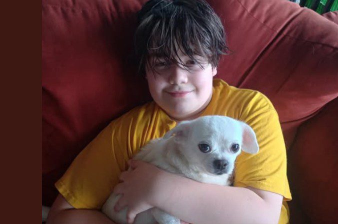 Heartwarming: Beloved pug hit by car and family unable to pay vet covered by compassionate rescue org now back with family Heartwarming: Beloved pug hit by car and family unable to pay vet covered by compassionate rescue org now back with family