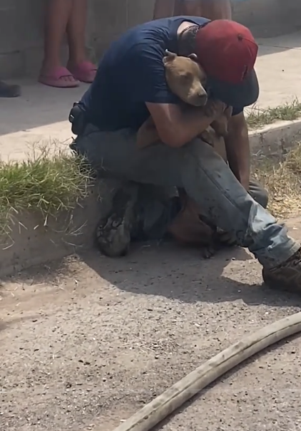 Dog owner’s touching reunion with his dog rescued from burning home Dog owner’s touching reunion with his dog rescued from burning home