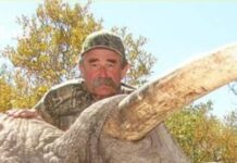Game hunter killed by five elephants while on Africa safari