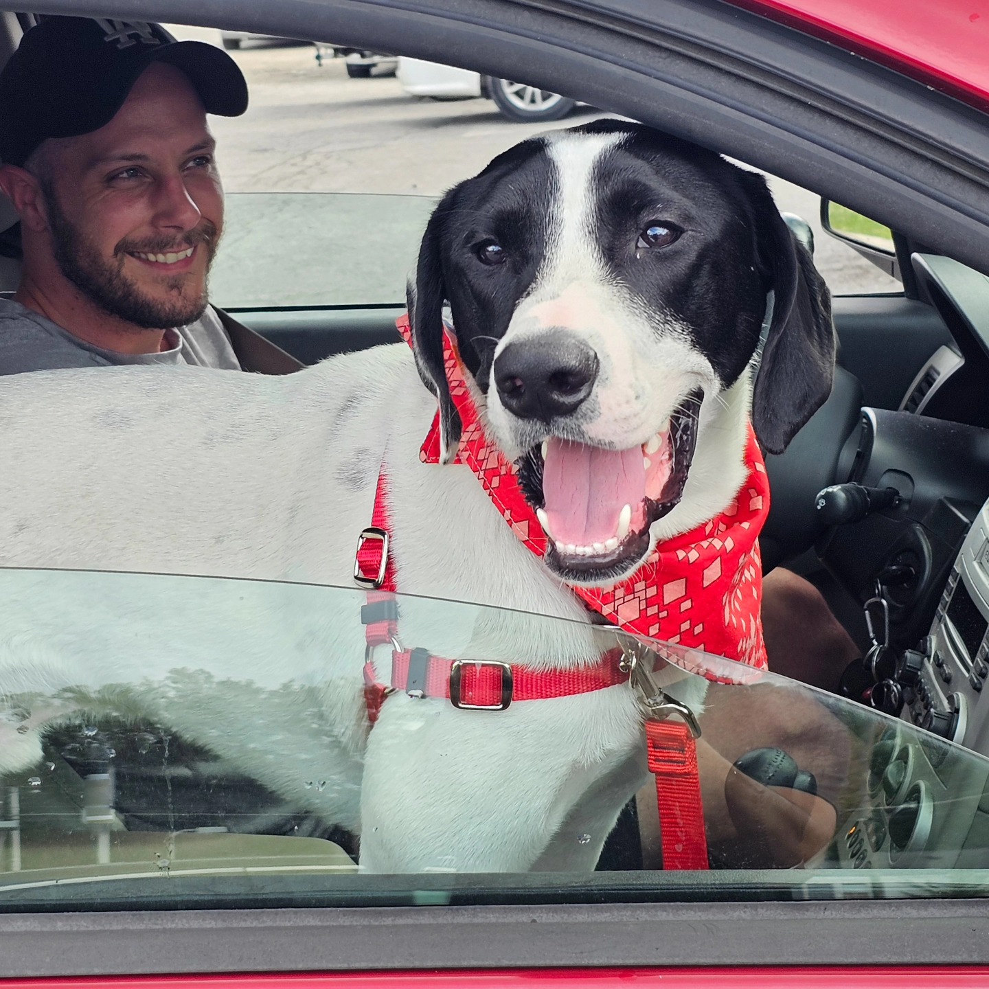 Adopted: Dog couldn’t stop smiling on his freedom ride after 171 days in shelter Adopted: Dog couldn’t stop smiling on his freedom ride after 171 days in shelter