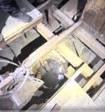 Lost Vallejo dog discovered alive in deep well after treading water for 2 hours