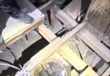 Lost Vallejo dog discovered alive in deep well after treading water for 2 hours