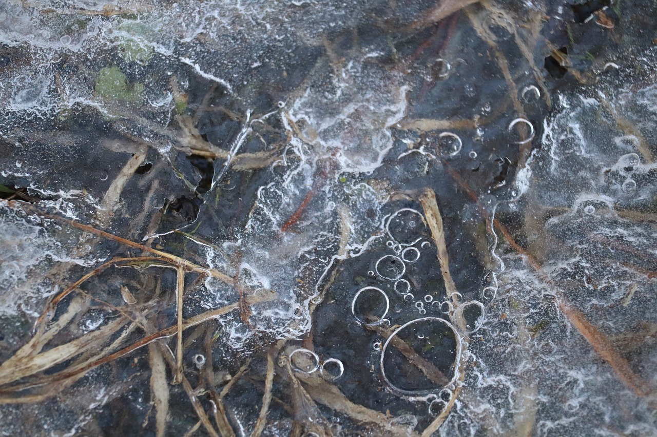 Authorities continue search for 20 year old man who fell through ice trying to rescue his dog