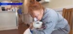 Heartwarming: Dog traced back to ailing owner after missing 2 years because of microchip