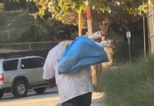 Rudest man caught carrying 2 geese in trash bag with their legs tied