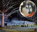 Heartbreaking as Georgia man died after running back into burning home to save family dog