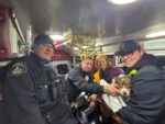 Australian shepherd puppy rescued from icy Detroit River