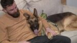 First time homebuyer adopts German shepherd left by brokenhearted previous homeowner