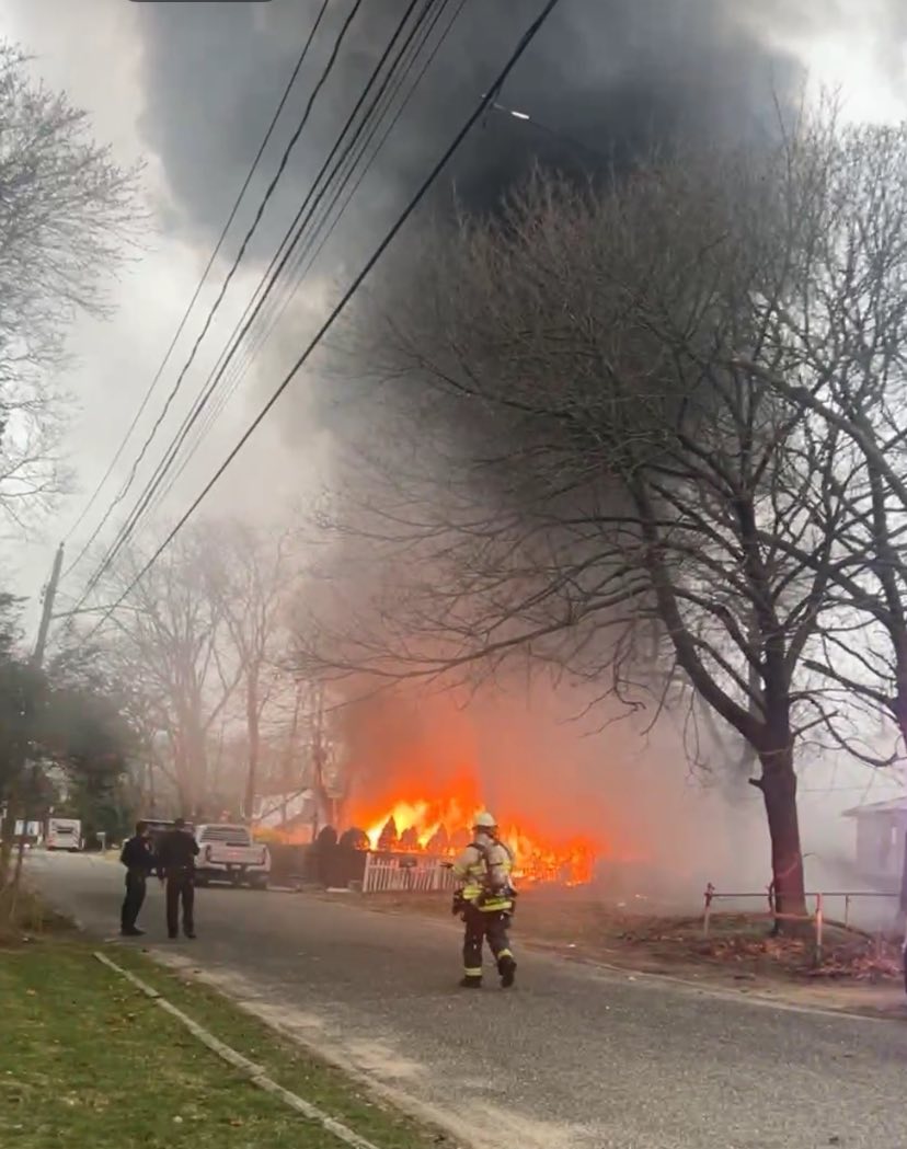 Owner and 100+ cats die in animal sanctuary fire on Long Island Owner and 100+ cats die in animal sanctuary fire on Long Island