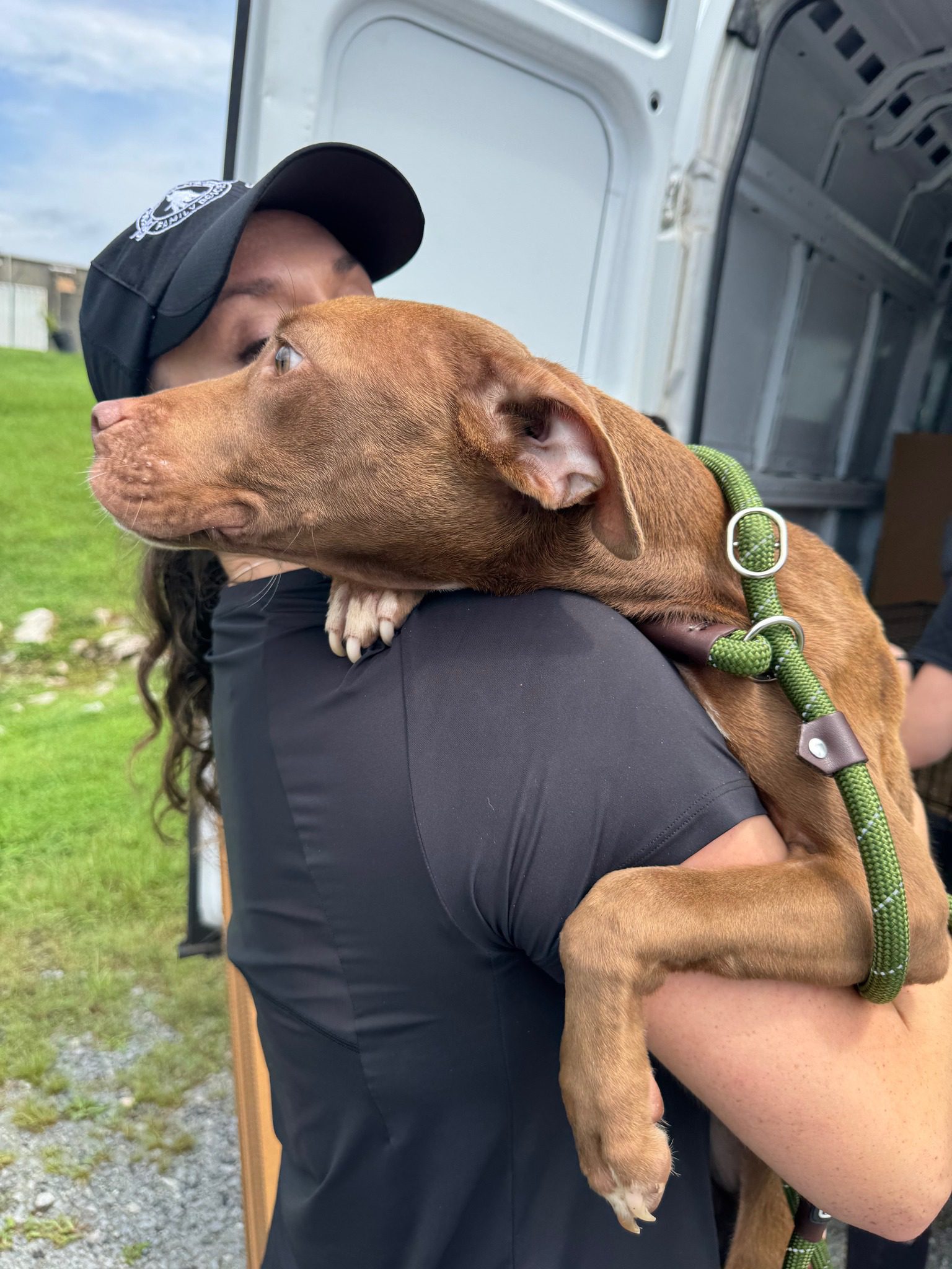 Chained outside with no food or water bravest dogs survive never to be forgotten again