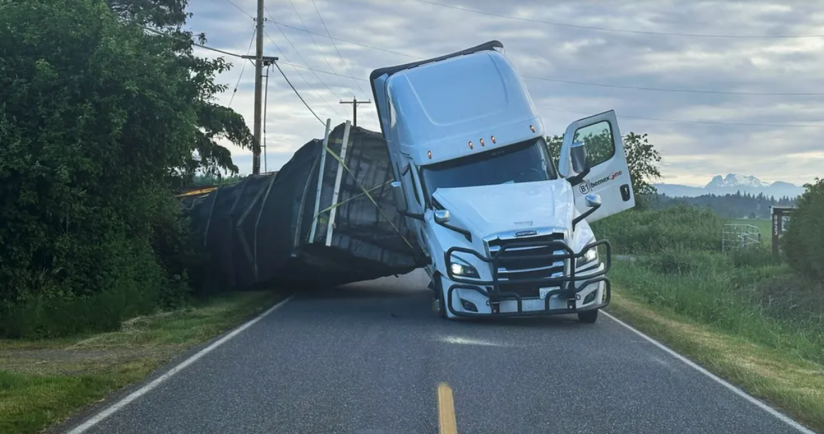 Millions of bees escaped after truck in Washington state overturned