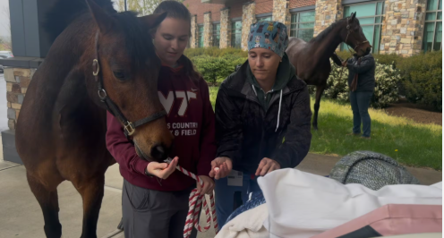 Heart wrenching: Last wish granted to cancer patient for emotional farewell to her beloved horses Heart wrenching: Last wish granted to cancer patient for emotional farewell to her beloved horses