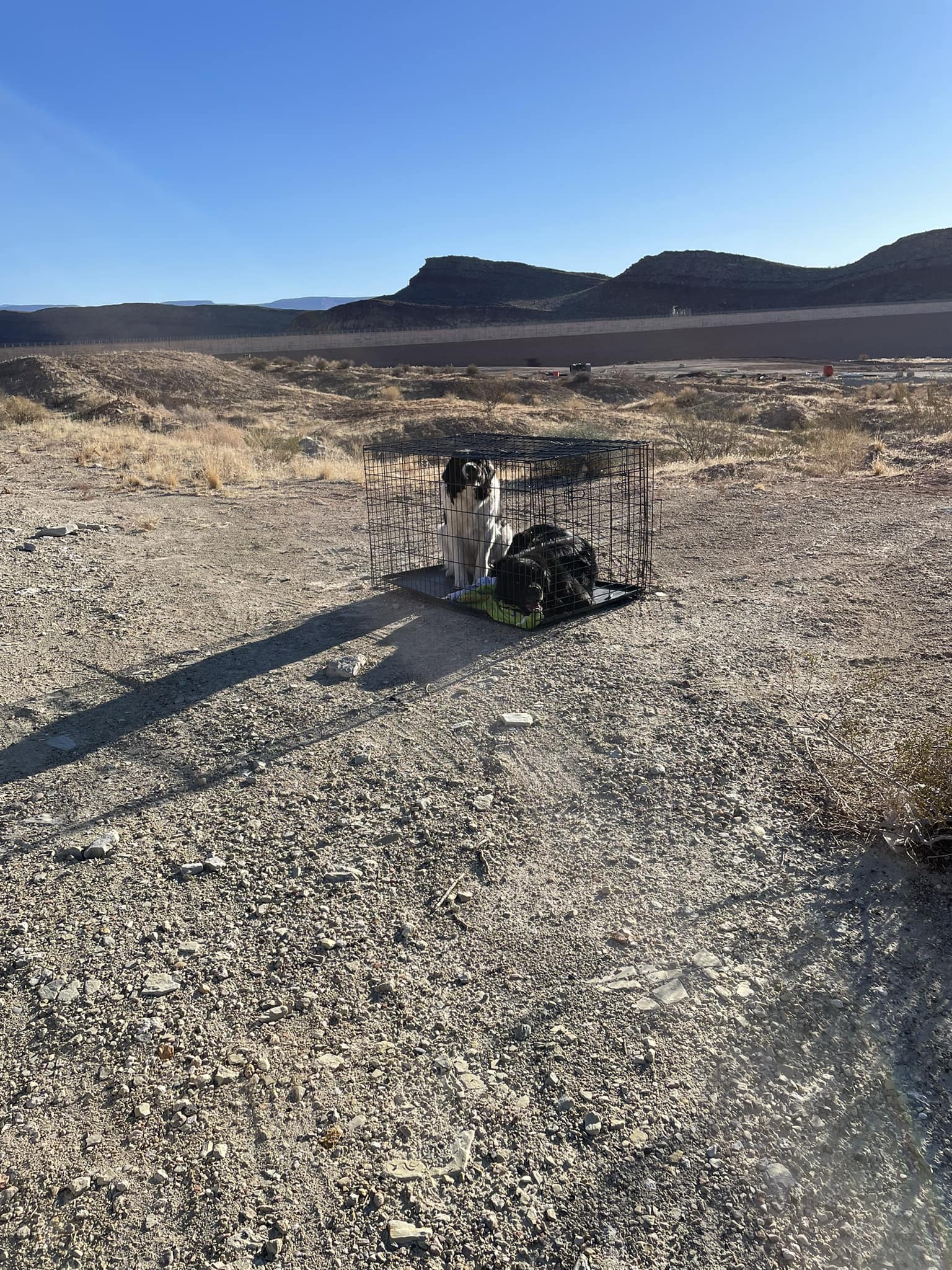 Heartbreaking: Two beautiful dogs abandoned in locked cage in Utah desert with no food or water
