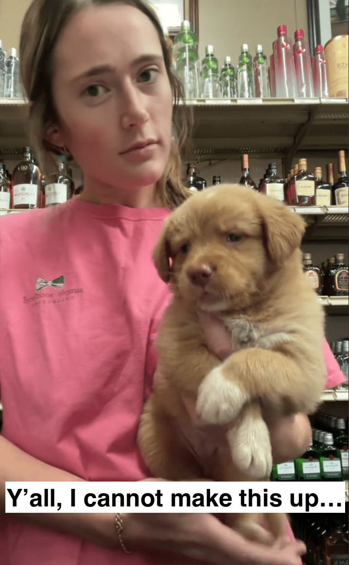 Liquor store employee rescues abandoned puppy stranger brought into store moments before closing time