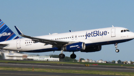 Stray dog on runway at JFK Airport caused lots of disruptions but no injuries Stray dog on runway at JFK Airport caused lots of disruptions but no injuries