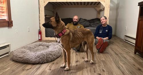 Missing dog lost in Colorado mountains rescued after 2 weeks surviving on her own