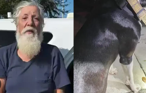 Tampa man fatally shot his dog over electric outage after Hurricane Milton