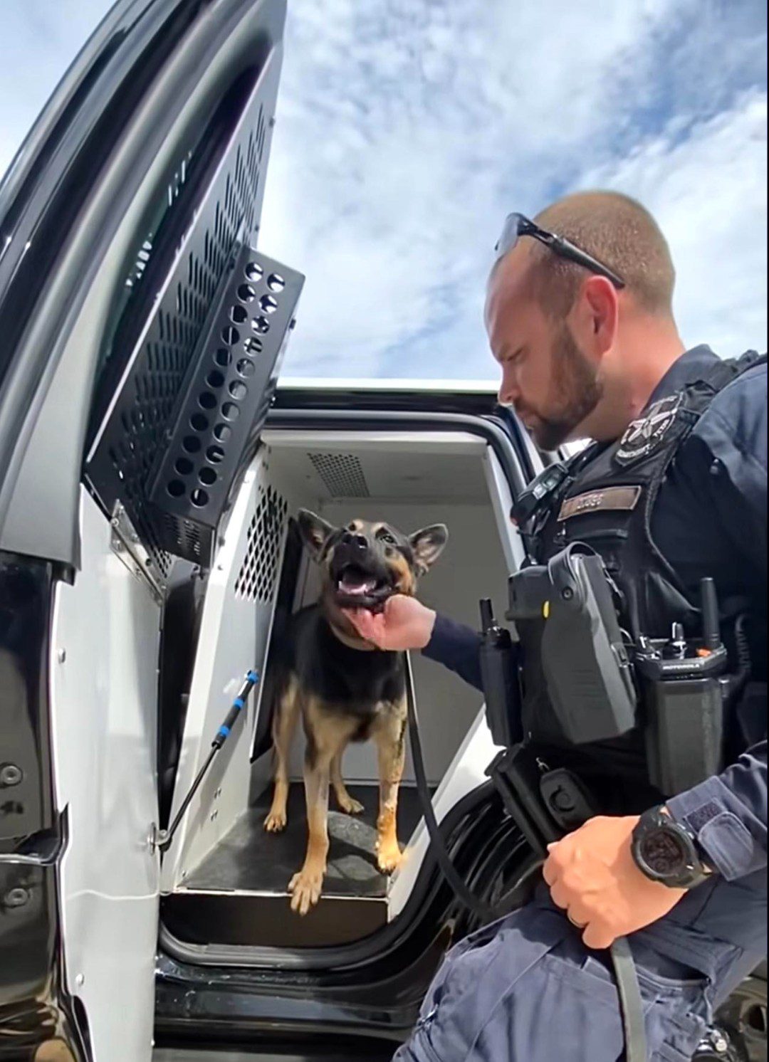 Dallas Police K9 Max recovering after suffering heat exhaustion during manhunt pursuit