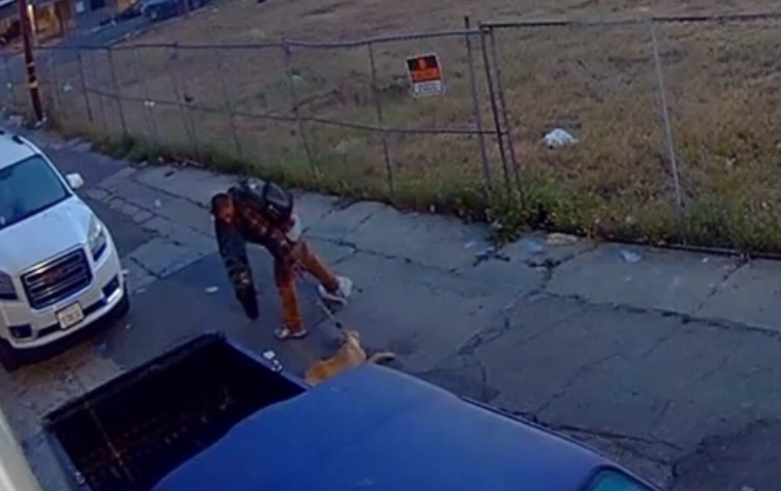 Suspect arrested in disturbing Long Beach dog abuse case and pup is safe Suspect arrested in disturbing Long Beach dog abuse case and pup is safe