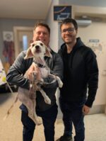 Dog wearing harness and leash abandoned in Publix parking lot gets happy ending she deserves Dog wearing harness and leash abandoned in Publix parking lot gets happy ending she deserves